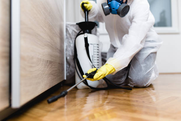 Best Residential Pest Control  in Folcroft, PA