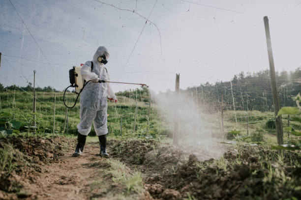 Best Best Pest Control Companies  in Folcroft, PA