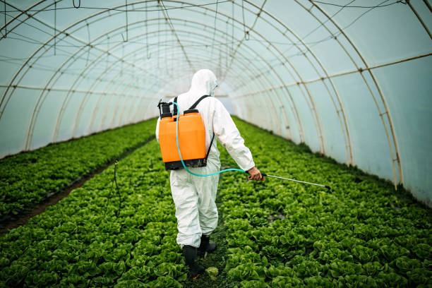 Best Mosquito Control Services  in Folcroft, PA