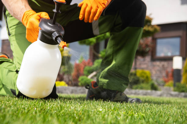 Best Insect Control  in Folcroft, PA