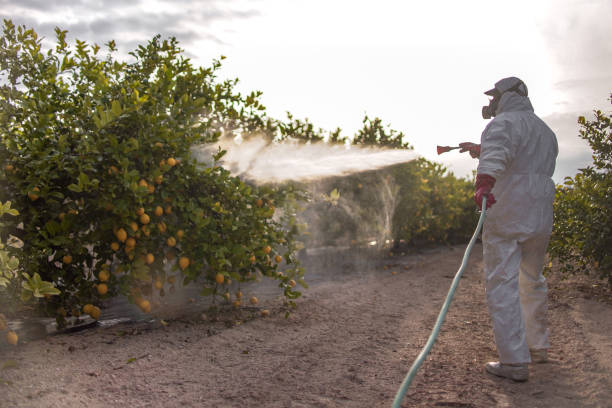 Best Pest Control for Restaurants  in Folcroft, PA