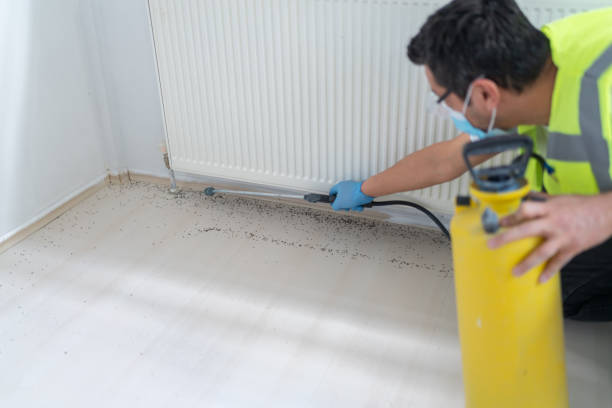 Best Termite Control Services  in Folcroft, PA