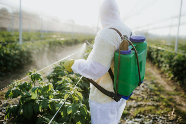 Best Emergency Pest Control  in Folcroft, PA